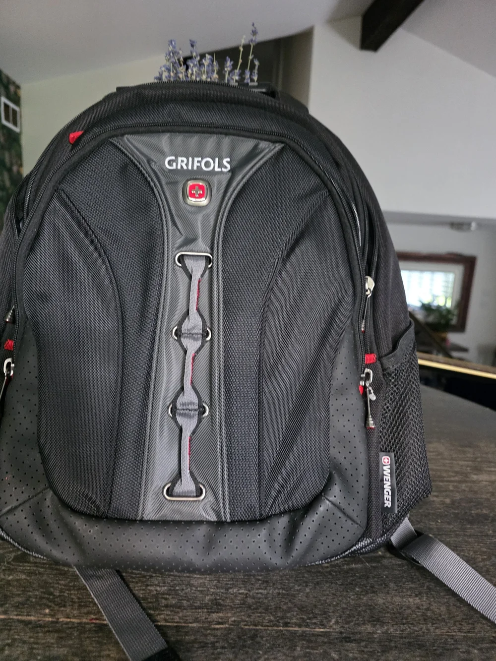 Backpack with Red Accents - Professional Travel Pack.